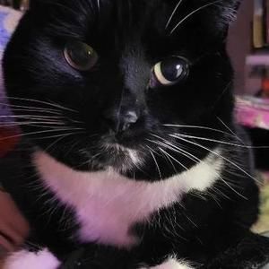 Meet your Posher, Alison